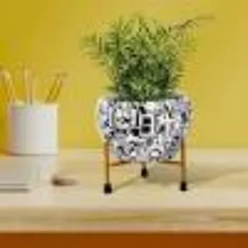 Decorative Plants